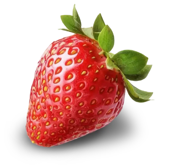 Smart slider za grafično oblikovanje