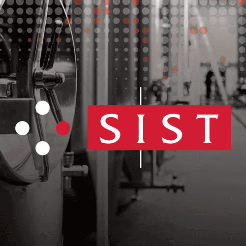 Oblikovanje in celostna grafična podoba za SIST