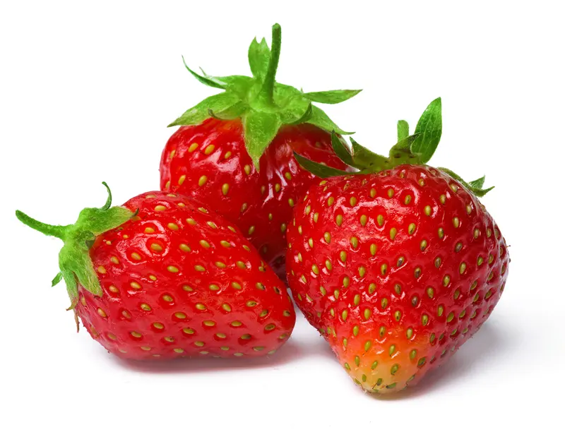 Grafično oblikovanje Art design Ljubljana